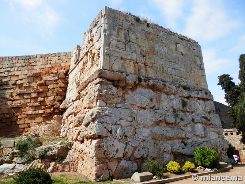 Imagen de Torre de Minerva