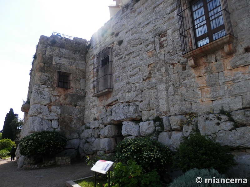 Imagen de Torre del Cabiscol
